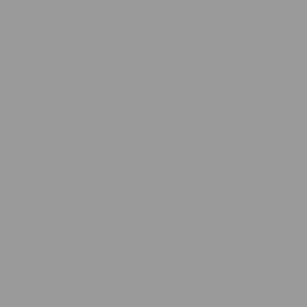 etevert Abri de Jardin avec Toit prolongé Gris Clair 277x107x181 cm, Maison & Jardin, Pelouses & Jardins, Vie en extérieur, Structures extérieures, Cabanes & abris de Jardin, Gris, (Poids 41.56KG)