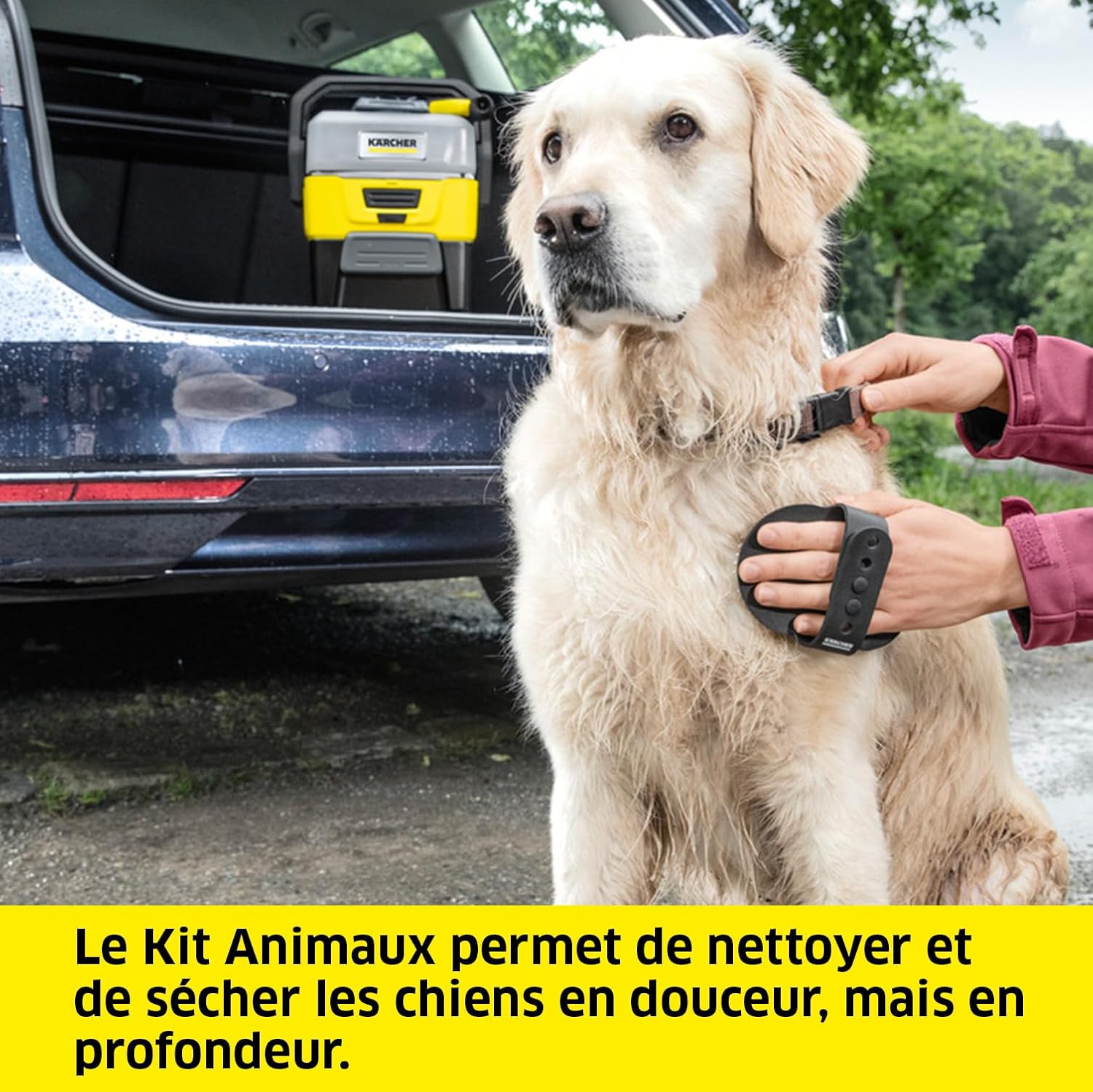 etevert Nettoyeur à Pression Mobile OC 3 + Kit Animaux, Débit : 2 L/h, Réservoir : 4L, Tuyau : 2,8 m, Buse à Jet Plat, Buse Conique, Brosse Pet, Serviette pour Animaux Domestiques, Boîte de Rangement