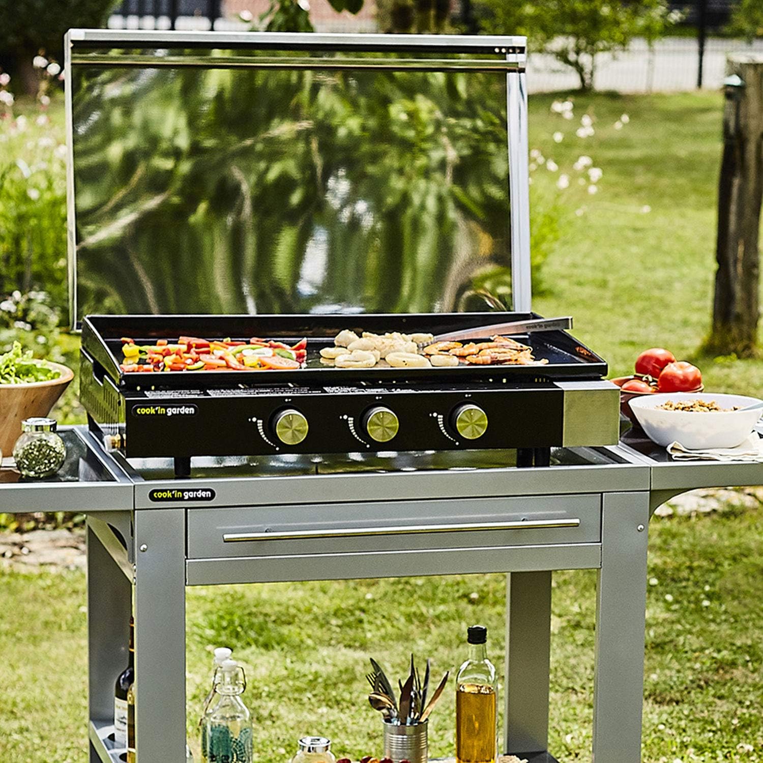 etevert - FINESTA - plancha gaz 3 brûleurs, plaque fonte, capot, récupérateur
