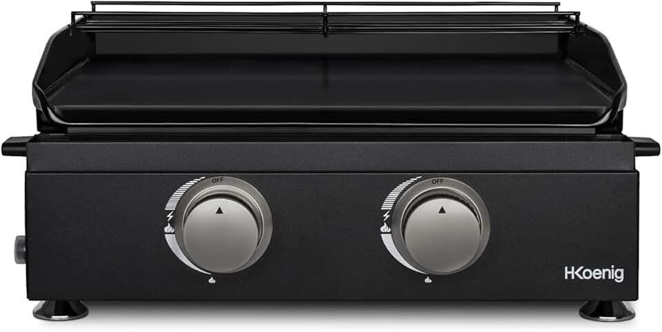 etevert - plancha gaz 2 brûleurs - acier inox, fonte, jusqu'à 350°C - PLX1022