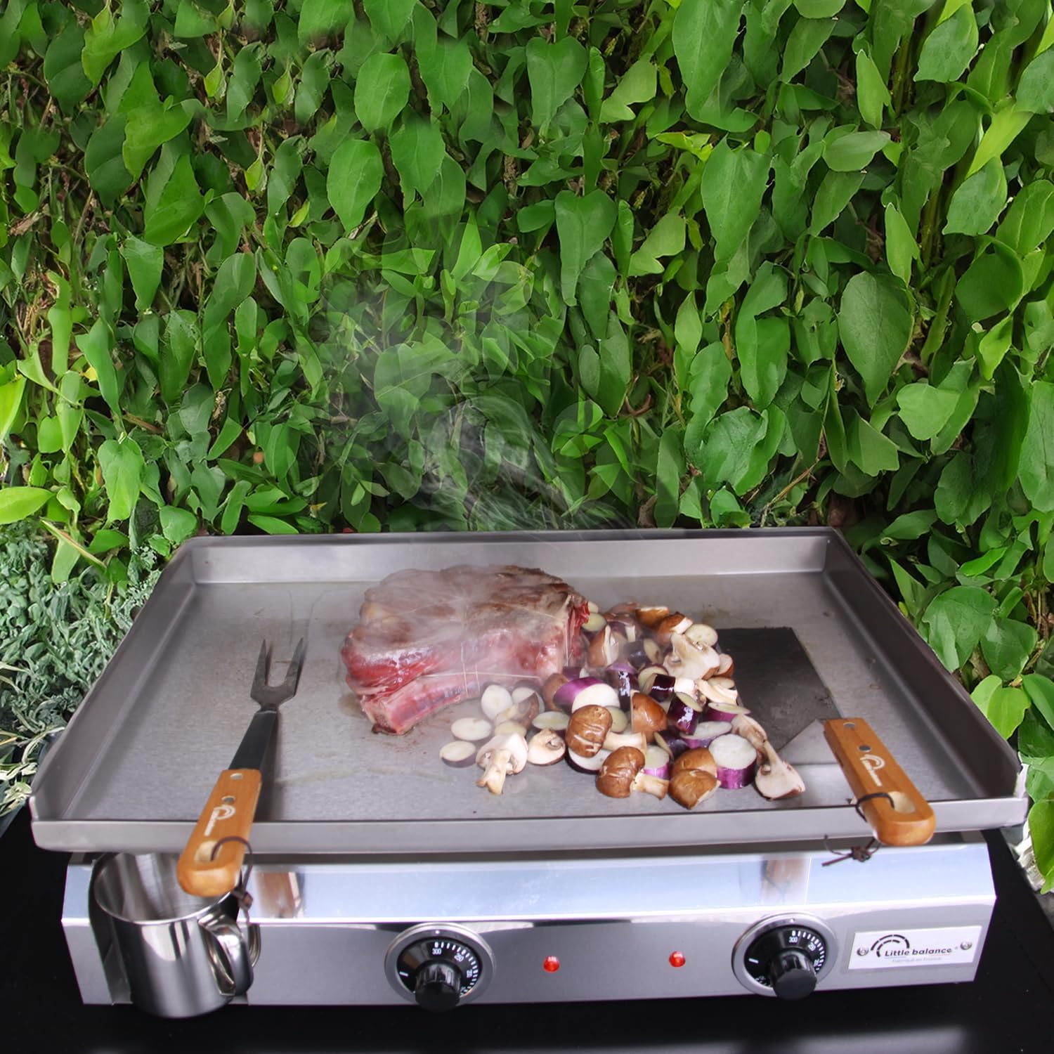 etevert - Plancha électrique 2 zones inox 3000W, 60x40cm - 8679