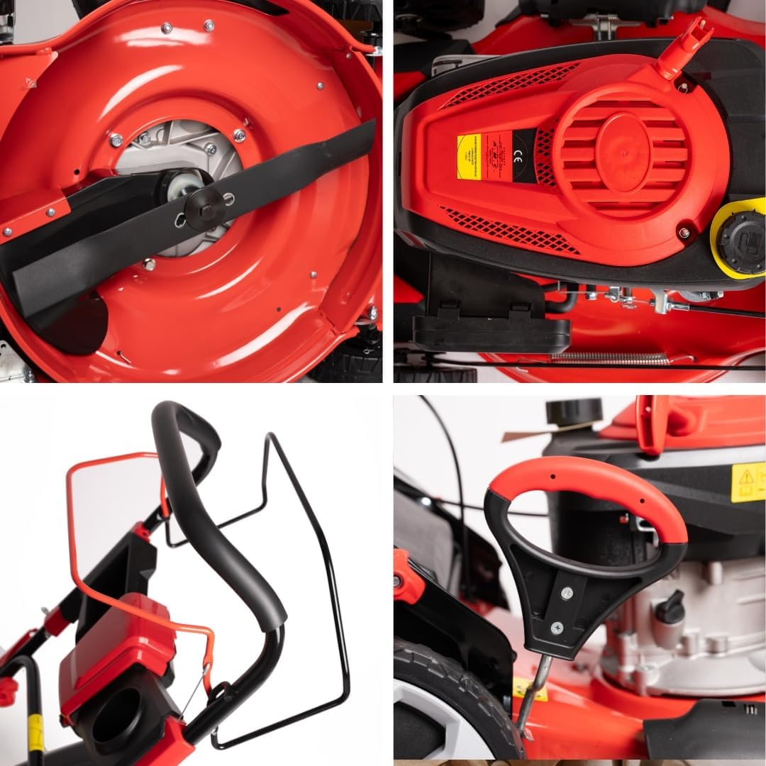 etevert Tondeuse à gazon à explosion automotrice 4in1-4 CV, Tondeuse à gazon thermique autoportée - Moteur 170cc 4 temps avec autotraction - Largeur de coupe 51 cm - Mulching - Panier de collecte 60L