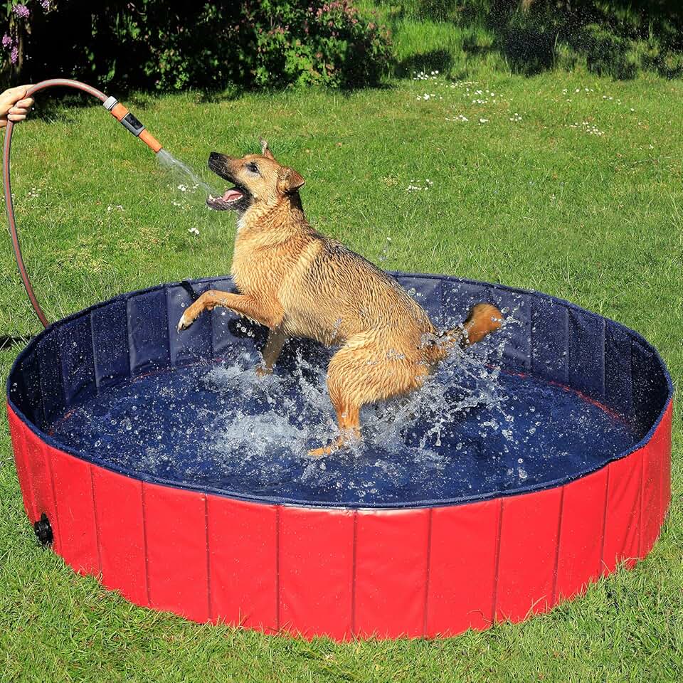 etevert - Piscine pliable Ø160x30cm - PVC antidérapant, bouchon vidange