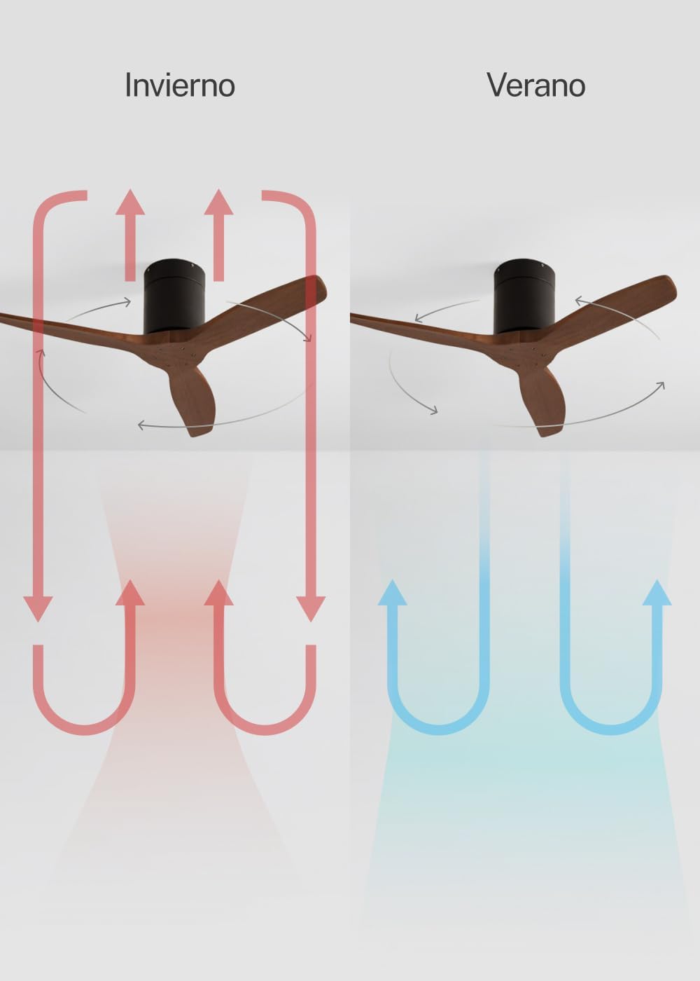 CREATE WINDCALM S Ventilateur de plafond ABS noir pales effet bois foncé avec télécommande, 40 W, silencieux, Ø112 cm, 6 vitesses, minuteur, fonction été/hiver