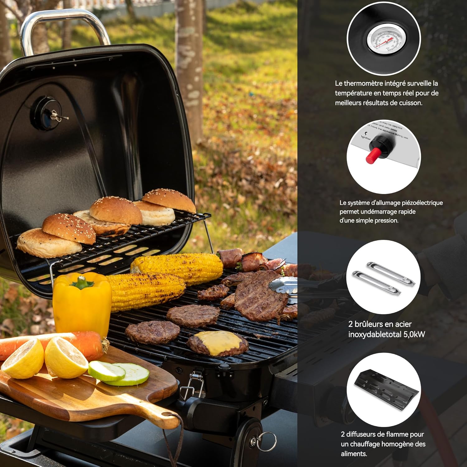 etevert - Barbecue Gaz 2 brûleurs - 48x37 cm - tables pliables, 5kW